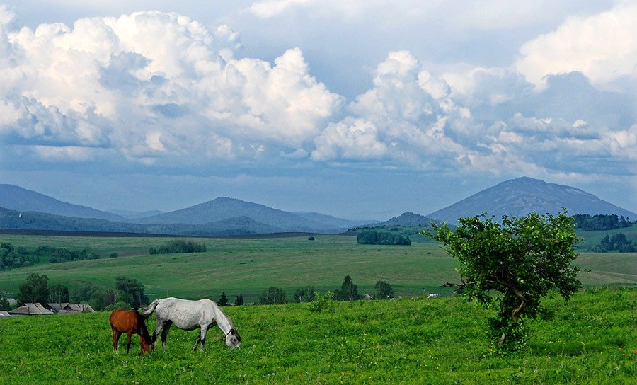 Фотографии.